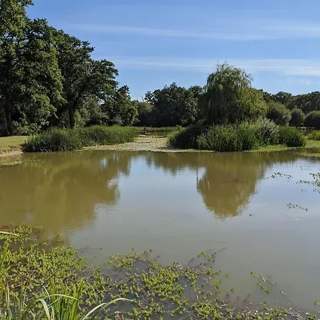 The Barn New Forest Free Paddle Boarding & Free Zip Wire. Ringwood Exterior foto