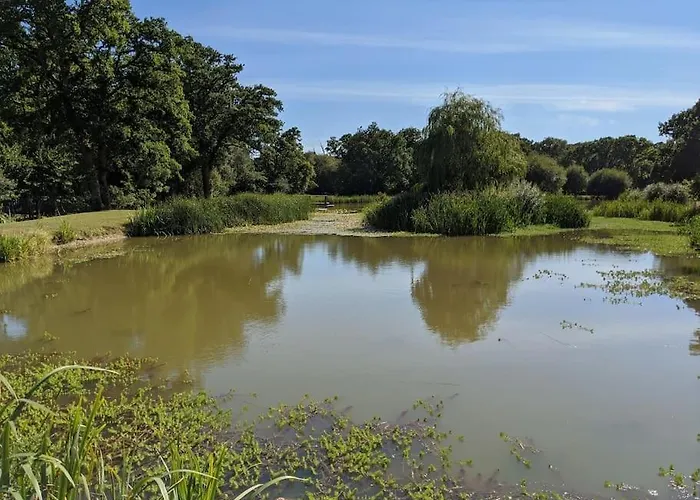 The Barn New Forest Free Paddle Boarding & Free Zip Wire.